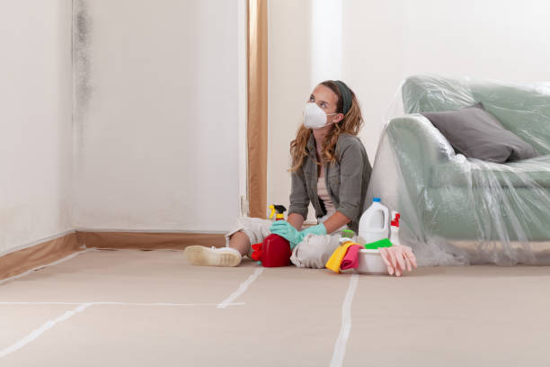 Reliable Mold Testing contractor in Alto, MI by WQB Mold Removal